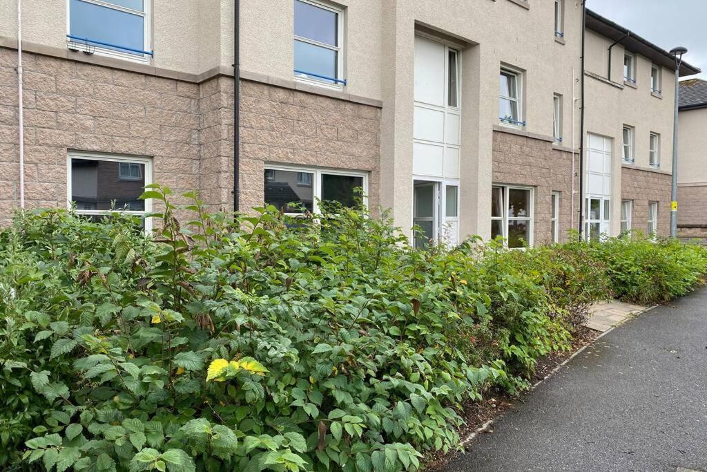 Peter Pan Apartment In The Heart Of Inverness Dalneigh Eksteriør billede